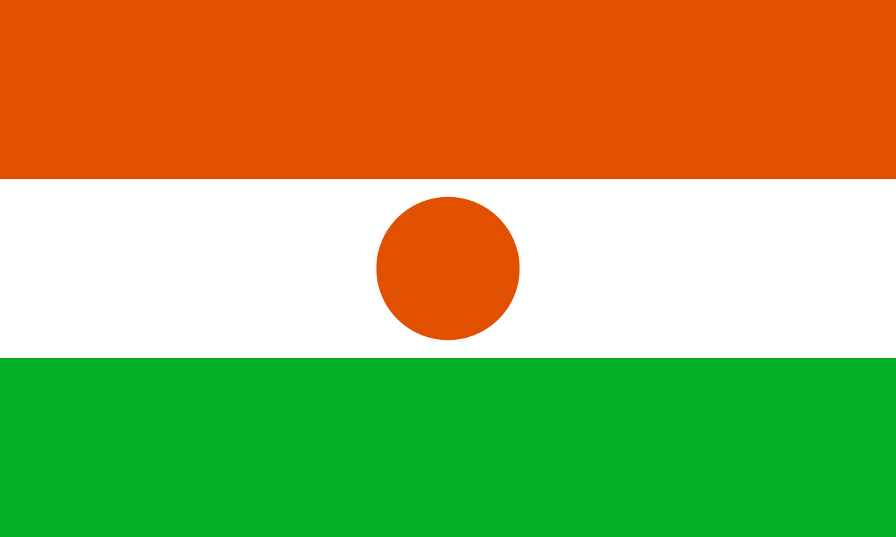 Logo Niger