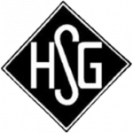 Logo Holzheimer SG