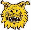 Logo Ilves Tampere Women
