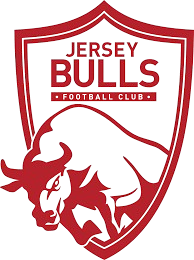 Logo Jersey Bulls