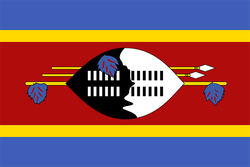 Logo Eswatini U23